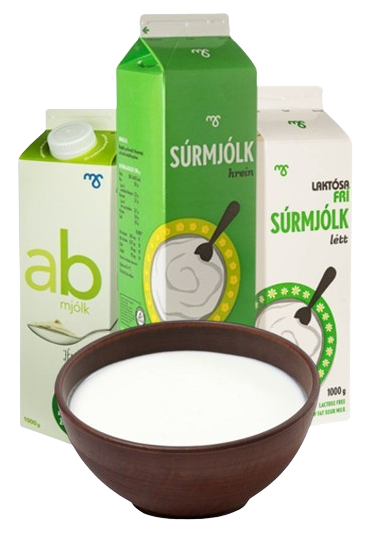 Sýrðar mjólkurvörur